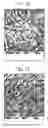 Fig. 13 - Method of decellularizing tissues