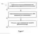 Fig. 02 - Cardiac rhythm pacing rate selection for automatic capture threshold testing