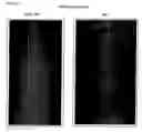 Fig. 06 - Electrical current induced inhibition of bone growth