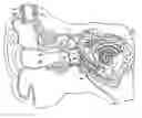 Fig. 01 - Middle ear multi-channel electrode