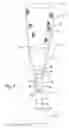 Fig. 02 - Artificial limb assembly having microprocessor-controlled vacuum pump