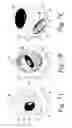 Fig. 09 - System and method for performing process visualization