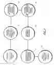 Fig. 03 - Method of manufacturing a multiple component device