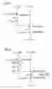Fig. 04 - Device and method for testing an electrical circuit