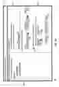 Fig. 07 - Sequence support operators for an abstract database