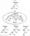 Fig. 02 - System for organizing a plurality of data sources into a plurality of taxonomies