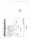 Fig. 17 - System, method and apparatus for electronically protecting data and digital content