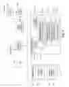 Fig. 02 - Digitally signing an electronic document with a user-entered signature image