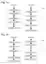 Fig. 02 - Conformance testing of multi-threaded and distributed software systems