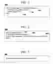 Fig. 02 - Rendering content natively on local operating system