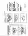 Fig. 15 - Video distribution system