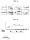Fig. 04 - System and method of network-linked digital terrestrial television broadcasting