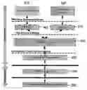Fig. 01 - Virtualization of software configuration registers of the TPM cryptographic processor
