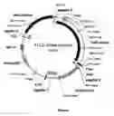 Fig. 07 - Stable integrands