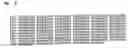 Fig. 07 - Inducible small RNA expression constructs for targeted gene silencing