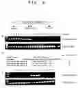Fig. 05 - Transposase and method of gene modification
