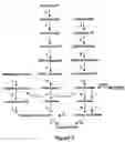 Fig. 02 - Manipulation of ascorbic acid levels in plants