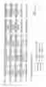 Fig. 19 - Nucleotide sequences mediating male fertility and method of using same