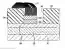 Fig. 01 - Carbon nanotube device and manufacturing method of the same
