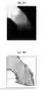 Fig. 03 - Carbon nanotube device and manufacturing method of the same