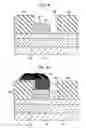Fig. 08 - Carbon nanotube device and manufacturing method of the same