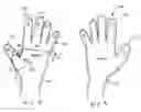 Fig. 08 - Partially removable glove