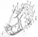 Fig. 02 - Stretchable, multi-layered gloves