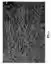 Fig. 05 - Coating for rubber gloves