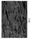 Fig. 07 - Coating for rubber gloves