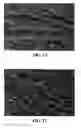 Fig. 10 - Coating for rubber gloves