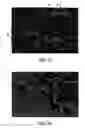 Fig. 16 - Coating for rubber gloves