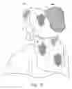 Fig. 06 - Headwear