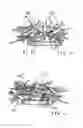 Fig. 06 - Flip- flop shoe and method of making same