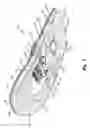Fig. 03 - Snowshoe