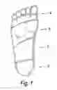 Fig. 02 - Shoe with foot massaging sole