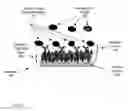 Fig. 04 - Differentiation and identification of analogous chemical or biological substances with biosensors