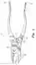 Fig. 04 - Multi-purpose pliers