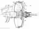 Fig. 01 - Pneumatic servomotor comprising a diaphragm and/or a joint which is overmoulded onto the skirt