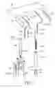 Fig. 02 - Dual-purpose cane