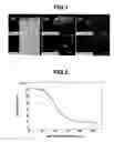 Fig. 02 - Functionally graded rare earth permanent magnet