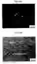Fig. 09 - Nanocrystalline titanium alloy, and method and apparatus for manufacturing the same