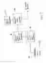 Fig. 06 - Detecting barcodes on two-dimensional images using frequency domain data