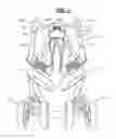 Fig. 07 - Stroller