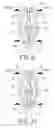 Fig. 08 - Backrest adjustment structure for baby stroller