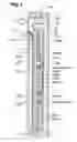 Fig. 02 - Multilayer piezoelectric element, fuel injector having the piezoelectric element and piezoelectric element production method