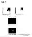 Fig. 07 - Display device and method providing display contact information based on an amount of received light
