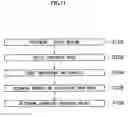Fig. 09 - Liquid ejection apparatus, inkjet recording apparatus and liquid removal method