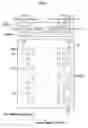 Fig. 08 - Liquid droplet ejection apparatus