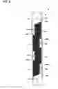 Fig. 07 - Inkjet head