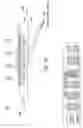 Fig. 03 - Reflectance sensor for integral illuminant-weighted CIE color matching filters